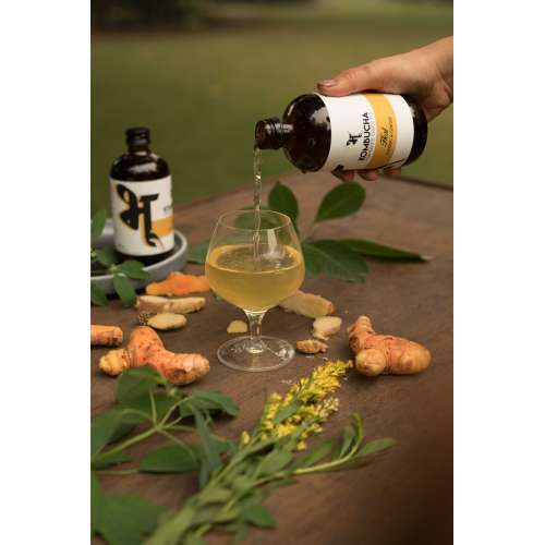 Bhu: Fermented Green Tea - Heal: Turmeric & Ginger 250ml (Pack of 1) Bhu: Fermented Green Tea - Heal: Turmeric & Ginger 250ml (Pack of 1)