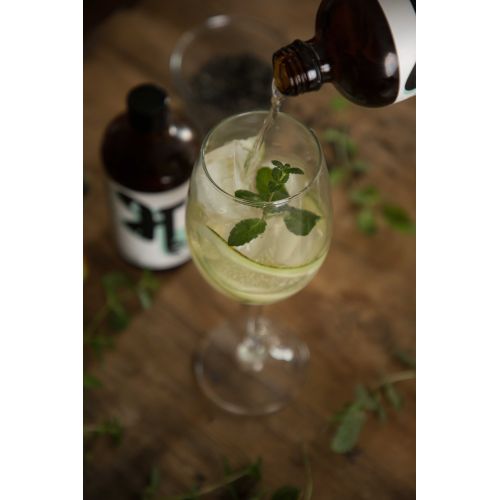 Bhu: Fermented Green Tea - Fresh: Cucumber & Mint 250ml (Pack of 1)