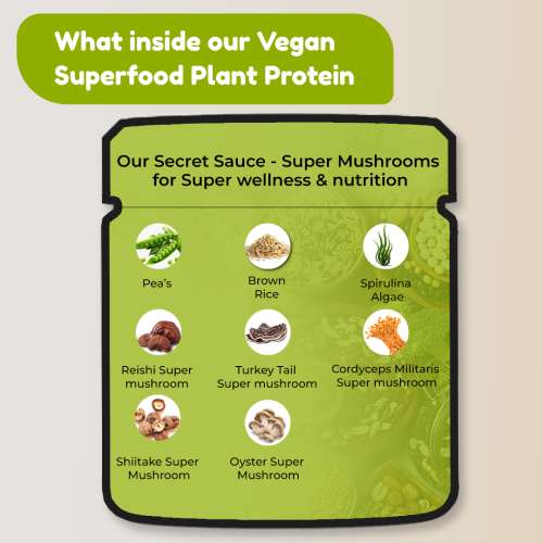 Rooted Active Naturals: Plant Protein powder, 24gm protein from Pea, Super Mushrooms, Brown Rice, Spirulina & | Probiotics, Enzymes, Super mushrooms |500 gm | Choclate flavour (USA FDA Registered Facility)