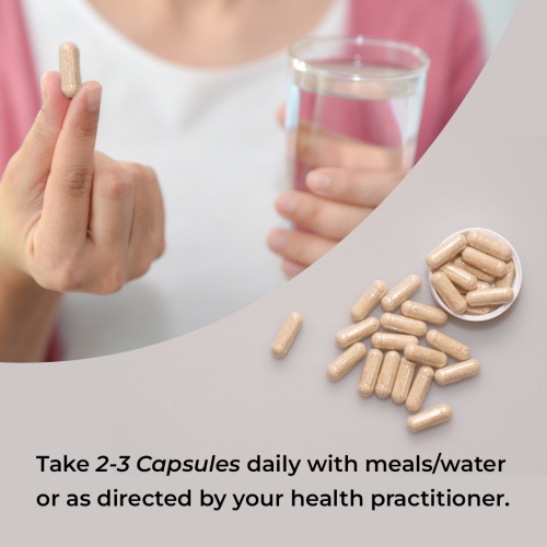 Rooted Active Naturals: Siberian Chaga mushroom Extract  (60 g) |Blood Sugar, Heart & Immunity. USDA Organic, 35% Beta Glucans Rooted Active Naturals: Siberian Chaga mushroom Extract  (60 g) |Blood Sugar, Heart & Immunity. USDA Organic, 35% Beta Glucans