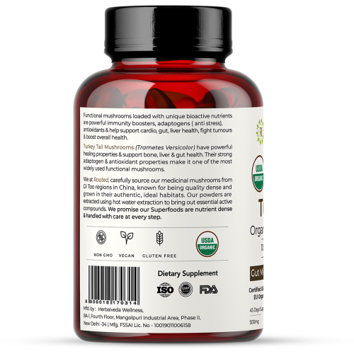 Rooted Active Naturals: USDA Organic Turkey Tail Mushroom Extract (90 Veg Caps, 500 mg), &gt; 35% Beta Glucans