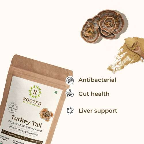 Rooted Active Naturals: Turkey Tail mushroom Extract Powder (60 g) | Gut Health, Liver, Immunity. USDA Organic, 35% Beta Glucans