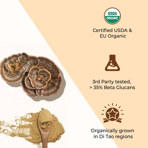 Rooted Active Naturals: Turkey Tail mushroom Extract Powder (60 g) | Gut Health, Liver, Immunity. USDA Organic, 35% Beta Glucans