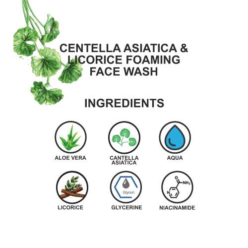 Love Earth: Centella Asiatica & Licorice Foaming Face Wash White Love Earth: Centella Asiatica & Licorice Foaming Face Wash White