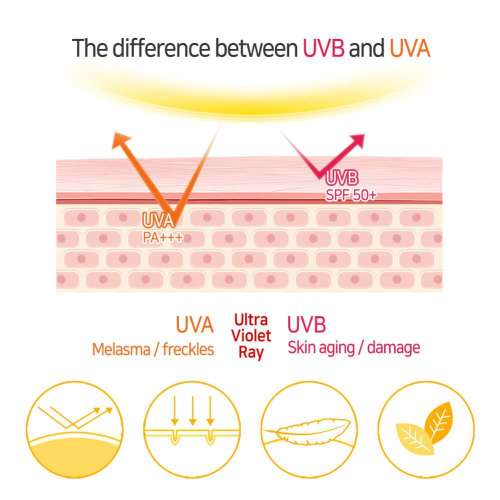 Elizavecca: Milky Piggy SUN Great Block Stick Spf 50+ PA+++