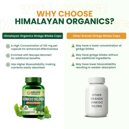 Vlado's Himalayan Organics: Ginkgo Biloba 500mg - 60 Capsules