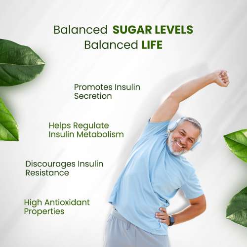 Vlado's Himalayan Organics: Diabetes Support Supplement | Helps Control Blood Sugar Levels | 100% Vegetarian (60 Capsules)
