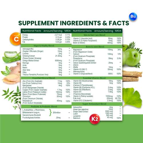 Vlado's Himalayan Organics: Multivitamin with Probiotics (60 Tablets) 45 Ingredients for Men & Women with Vitamin C, D, E, B3, B12, Zinc, Giloy & Biotin