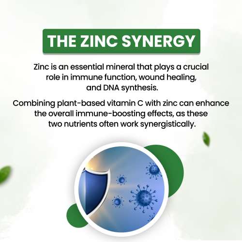 Vlado's Himalayan Organics: Plant Based Vitamin C with Zinc - 120 Veg Capsules