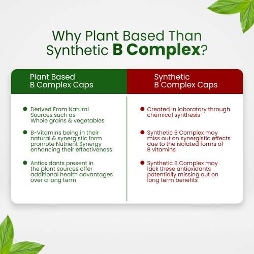 Vlado's Himalayan Organics: Plant Based B-Complex Vitamins B12, B1, B2, B3, B5, B6, B9 and Biotin for Metabolism, Hair and Energy- 60 Veg Capsules