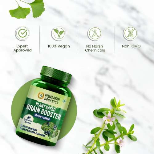 Vlado's Himalayan Organics: Plant Based Brain Booster Supplement with Ginkgo Biloba & Brahmi | Boost concentration & Memory | 60 Veg Capsules