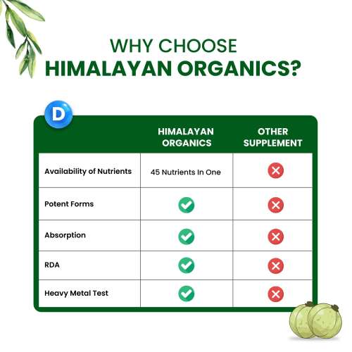 Vlado's Himalayan Organics: Multivitamin with Probiotics (60 Tablets) 45 Ingredients for Men & Women with Vitamin C, D, E, B3, B12, Zinc, Giloy & Biotin