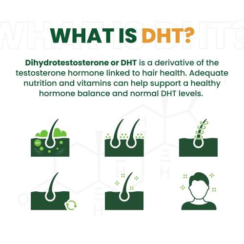 Vlado's Himalayan Organics: Plant Based DHT Blocker | Nettle Extract | 60 Veg Capsules