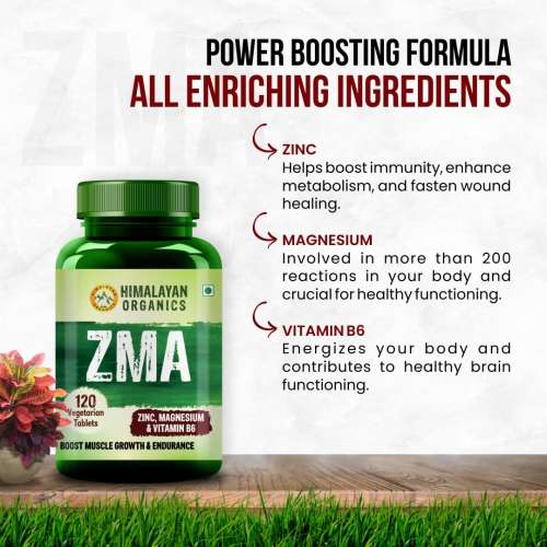 Vlado's Himalayan Organics: ZMA (Zinc, Magnesium Aspartate) Sports Recovery Supplement - 120 Veg Tablets