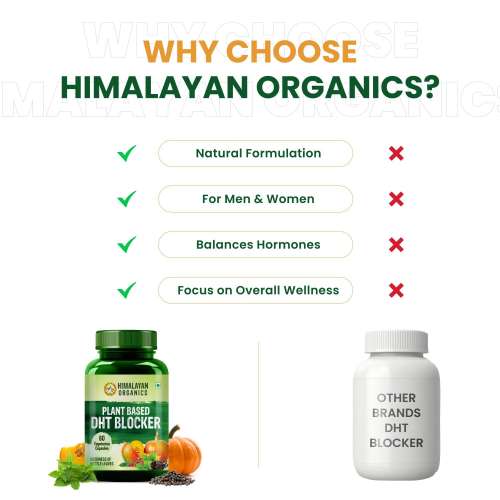 Vlado's Himalayan Organics: Plant Based DHT Blocker | Nettle Extract | 60 Veg Capsules
