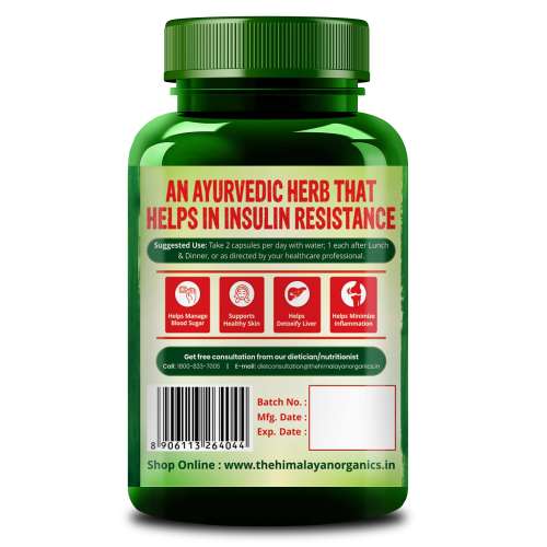 Vlado's Himalayan Organics: Berberis Aristata Berberine 95% with Milk Thistle for 2X Liver Support - 60 Veg Capsules