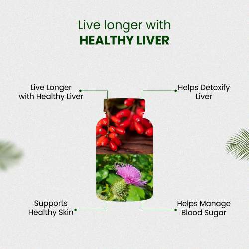 Vlado's Himalayan Organics: Berberis Aristata Berberine 95% with Milk Thistle for 2X Liver Support - 60 Veg Capsules