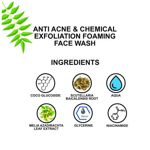 Love Earth: Anti Acne & Chemical Exfoliation Foaming Face Wash- 100ml