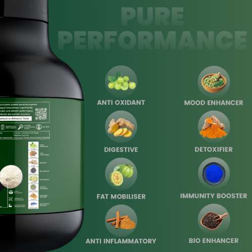 Bolt Nutrition: Biozyme Plant Protein |Complete Amino Acid Profile for muscle Support and Recovery | 2Lb/32oz, 26 Servings | Piedmont Chocolate