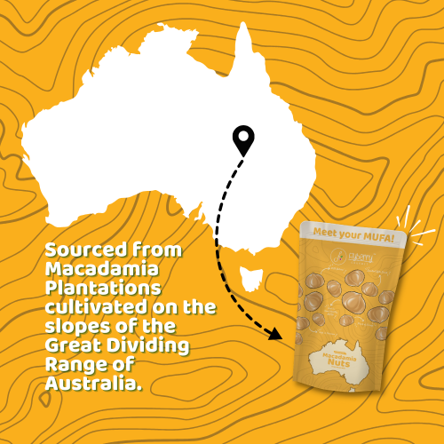 Flyberry Gourmet: Macadamia Nuts 100g | Imported From Australia| Boosts Immunity and Improves Stamina | Rich in Vitamins, Minerals, Fiber, Antioxidants and Healthy fats