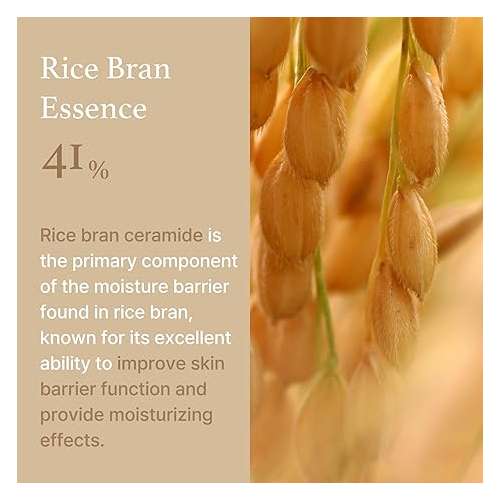 I'm From: Rice Cream | 50g