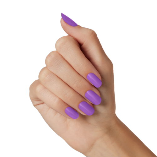 Dashing Diva: The Miss Fizz Glaze Mani/Pedi Kit