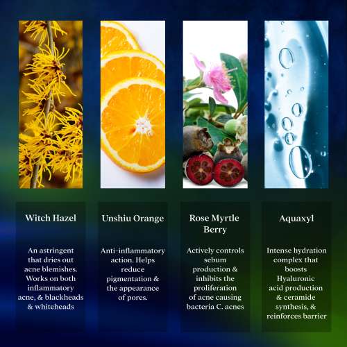 Viah: pH Balancing & Energising Toner Viah: pH Balancing & Energising Toner