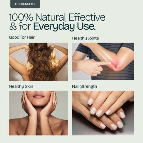 Puretive: Daily Collagen Powder