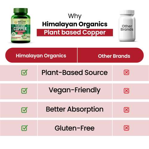 Vlado's Himalayan Organics: Plant Based Copper 1700mcg with Green Tea Extract | Support Connective Tissues | Good For Bone Health - 120 Veg Capsules