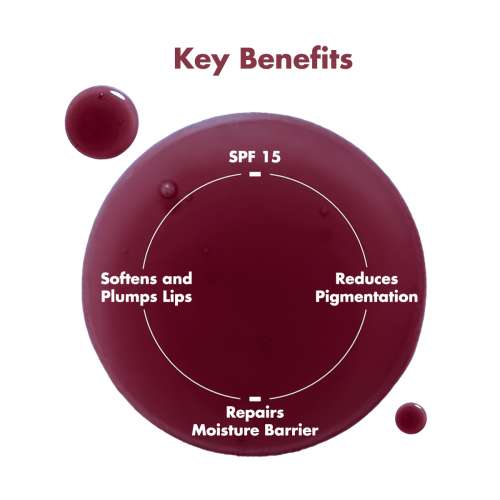 Conscious Chemist: Multi Peptide & Shea Butter Infused Lip balm With SPF 15 Lip balm:- Raspberry Gummy (15g)