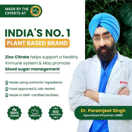 Vlado's Himalayan Organics: Zinc Citrate | Support Healthy Immune Function | Improve Iron Absorption | Antioxidant Support - 120 Veg Capsules