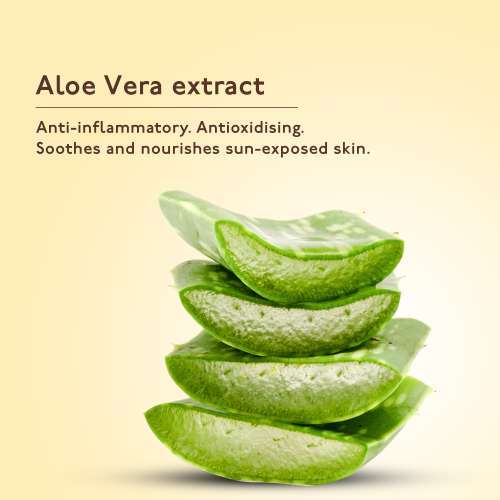 Asaya: SPF 65+ Sunscreen Spray with Aloe Vera - 100ml