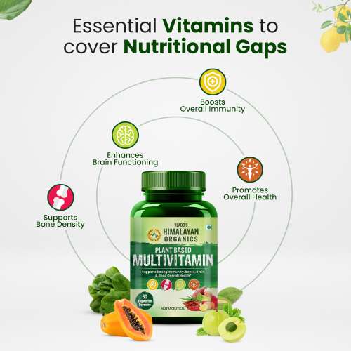 Vlado's Himalayan Organics: Plant Based Multivitamin with 60+ Extracts- 60 Vegetarian Capsules