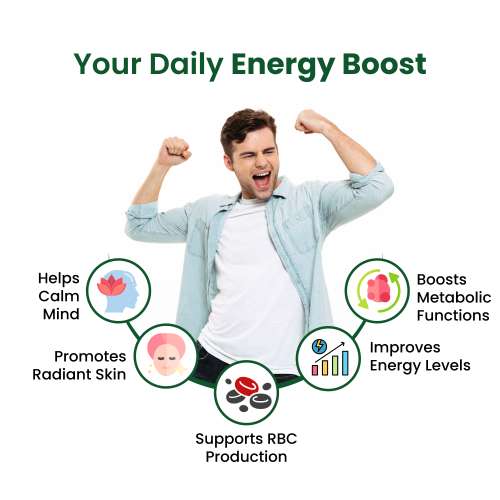 Vlado's Himalayan Organics: Vitamin B Complex with 100% RDA B1, B2, B3, B5, B6, B7, B9 & B12 | Hair Growth, Energy & Immunity | Youthful Skin - 120 Veg Tablets