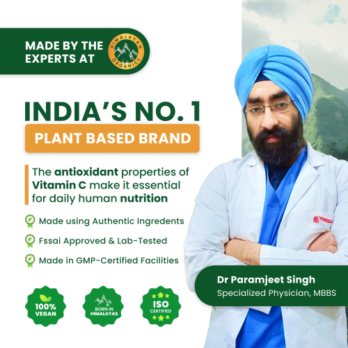Vlado's Himalayan Organics: Vitamin C 1000mg Tablets from Amla Extracts | Immunity, Antioxidant & Skin Care | 120 Veg Tablets