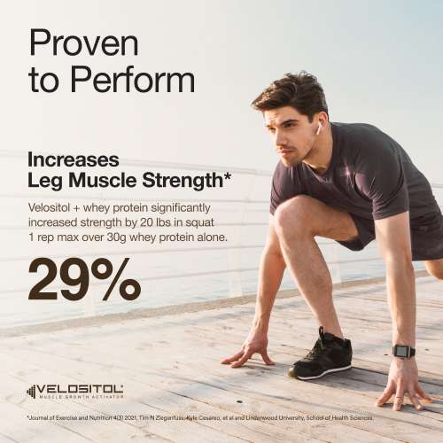 Wellbeing Nutrition: 100% Whey Protein Isolate (Dark Chocolate) | 26g Protein, 13g EAA | Clinically Proven 2x Muscle Protein Synthesis| 4B CFU Probiotics | Digestive Enzymes | Easy to Digest | 1kg