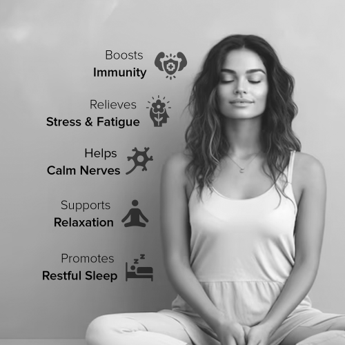 GNC: Pro Performance Zinc Magnesium Amino Complex 60 Tablets GNC: Pro Performance Zinc Magnesium Amino Complex 60 Tablets