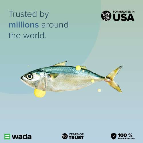 GNC: Fish Body Oil for Men & Women | 1000mg Omega-3s with EPA & DHA | 60 Softgels GNC: Fish Body Oil for Men & Women | 1000mg Omega-3s with EPA & DHA | 60 Softgels