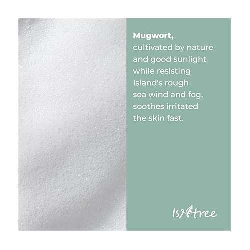 Isntree: Isntree Mugwort Calming Powder Wash (Pack Size:1g*25ea)