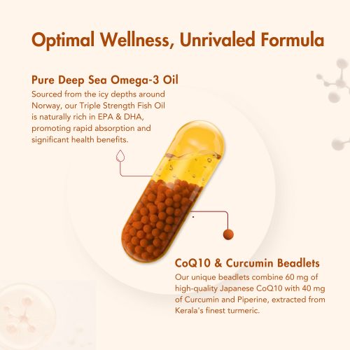 Wishnew Wellness: DAILY RITUAL | Triple Strength Fish Oil with Omega-3s & CoQ-10 | 60 Liquid Fill Capsules