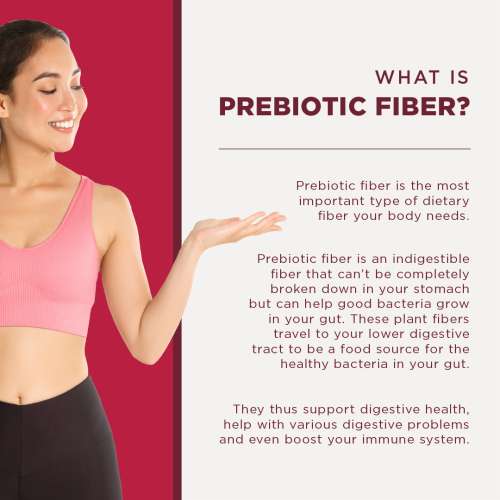 Wellbeing Nutrition: Daily Fiber - Vanilla Berry Flavor - 30 Servings
