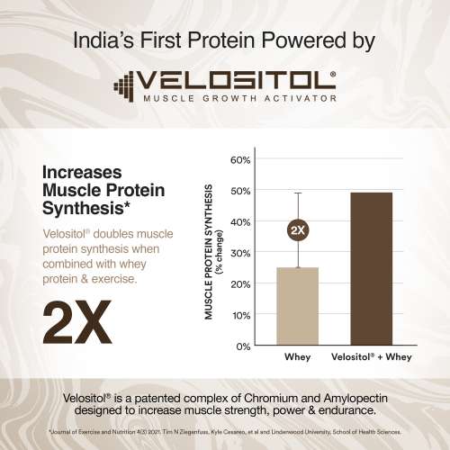 Wellbeing Nutrition: Whey Protein Isolate + Concentrate (Swiss Chocolate) 213g Pack of 6 24g Protein, 11.5g EAA, 1g Glutamine Clinically Proven 2x Muscle Protein Synthesis 4B CFU Probiotics & Digestive Enzymes Wellbeing Nutrition: Whey Protein Isolate + Concentrate (Swiss Chocolate) 213g Pack of 6 24g Protein, 11.5g EAA, 1g Glutamine Clinically Proven 2x Muscle Protein Synthesis 4B CFU Probiotics & Digestive Enzymes