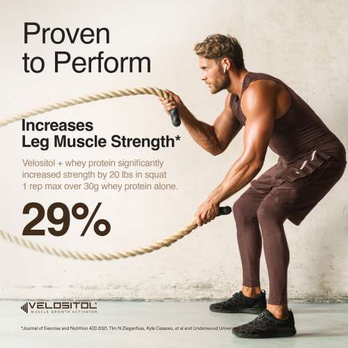 Wellbeing Nutrition: Whey Protein Isolate + Concentrate (Swiss Chocolate) 213g Pack of 6 24g Protein, 11.5g EAA, 1g Glutamine Clinically Proven 2x Muscle Protein Synthesis 4B CFU Probiotics & Digestive Enzymes Wellbeing Nutrition: Whey Protein Isolate + Concentrate (Swiss Chocolate) 213g Pack of 6 24g Protein, 11.5g EAA, 1g Glutamine Clinically Proven 2x Muscle Protein Synthesis 4B CFU Probiotics & Digestive Enzymes