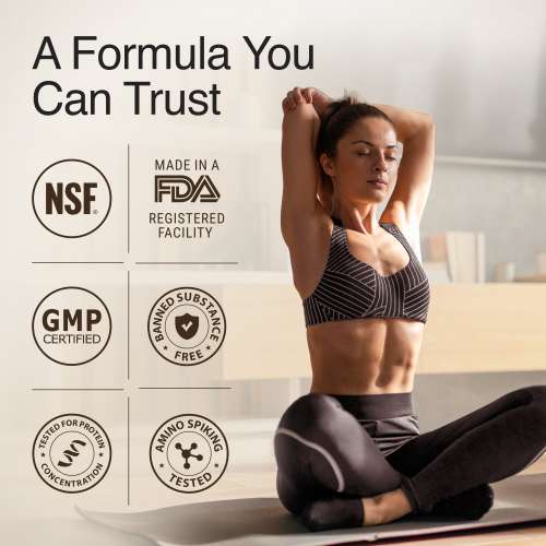 Wellbeing Nutrition: Whey Protein Isolate + Concentrate (Swiss Chocolate) 213g Pack of 6 24g Protein, 11.5g EAA, 1g Glutamine Clinically Proven 2x Muscle Protein Synthesis 4B CFU Probiotics & Digestive Enzymes Wellbeing Nutrition: Whey Protein Isolate + Concentrate (Swiss Chocolate) 213g Pack of 6 24g Protein, 11.5g EAA, 1g Glutamine Clinically Proven 2x Muscle Protein Synthesis 4B CFU Probiotics & Digestive Enzymes