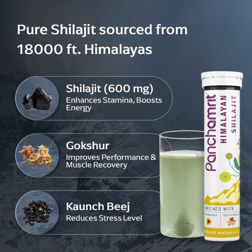 Panchamrit: Himalayan Shilajit 600mg Effervescent Helps Boost Stamina & Performance Enriched with Ashwagandha Kaunch Beej 15 Tablets (Pack of 3)