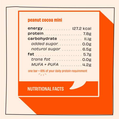 The Whole Truth: Protein Bar Minis - Peanut Cocoa - Pack of 8 - 8 x 27g - No Added Sugar - All Natural