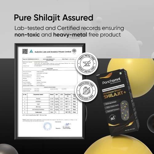 Panchamrit: 8 hrs Sustained Release Capsule 500mg Himalayan Shilajit+ with Gremin® Extract Daily Energy Boost, Faster Muscle Recovery  60 caps