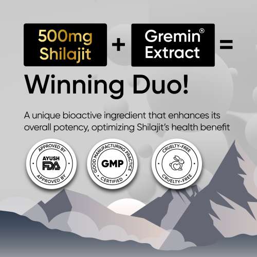 Panchamrit: 8 hrs Sustained Release Capsule 500mg Himalayan Shilajit+ with Gremin® Extract Daily Energy Boost, Faster Muscle Recovery  60 caps