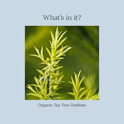 Juicy Chemistry: Organic Tea Tree Water 110ml | 100% Pure Steam Distilled Hydrosol For Skin, Hair & Body | Tea Tree Toner or Mist Spray | Certified, Cruelty & GMO Free, Vegan