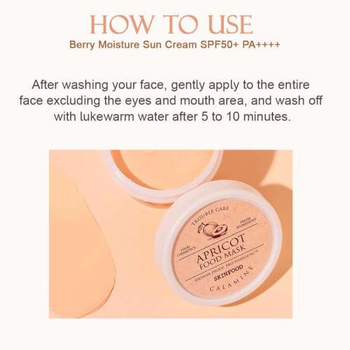 Skinfood: Apricot Food Mask120ml
